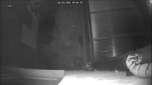 Caméra IP - United Kingdom