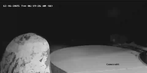 Caméra IP - United States of America