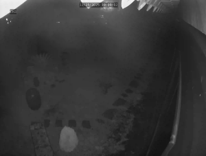 Caméra IP - South Korea