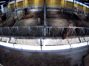 Caméra IP - República de Corea