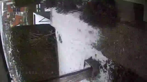 Caméra IP - Germany