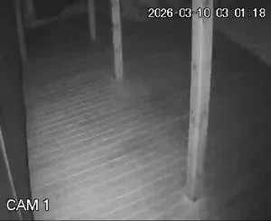 Caméra IP - Lituania