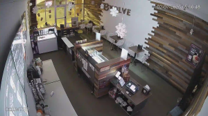 Caméra IP - United States of America