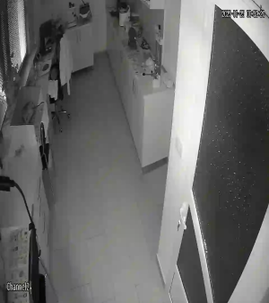 Caméra IP - Albania