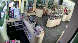 Caméra IP - Russian Federation