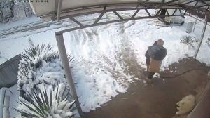 Caméra IP - Russische Föderation