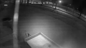 Caméra IP - Paesi Bassi