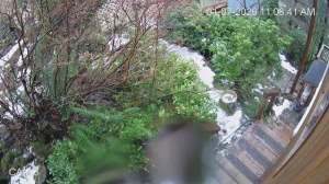 Caméra IP - États-Unis d'Amérique