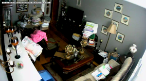 Caméra IP - United States of America