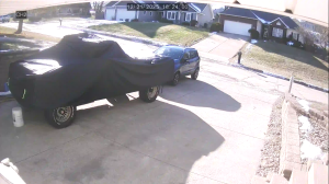 Caméra IP - Stati Uniti d'America