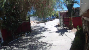 Caméra IP - Vue en direct