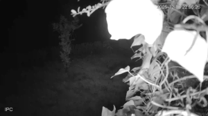 Caméra IP - Portugal