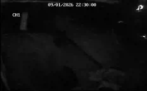 Caméra IP - Alemania