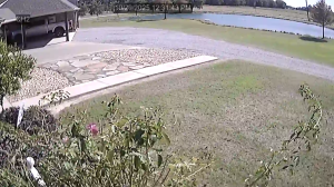 Caméra IP - Vereinigte Staaten von Amerika