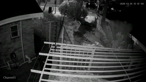 Caméra IP - Südafrika