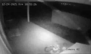 Caméra IP - Hongrie