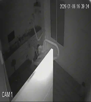 Caméra IP - Spanien