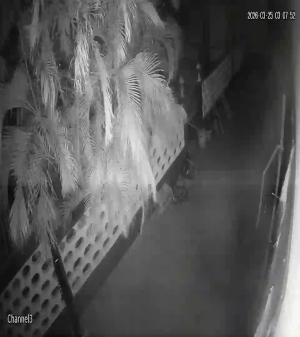 Caméra IP - Curaçao