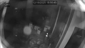 Caméra IP - República de Corea