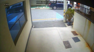 Caméra IP - South Korea