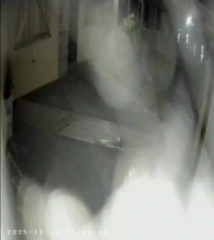 Caméra IP - Argentine