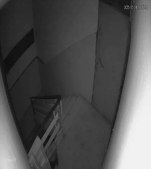 Caméra IP - Libanon