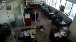 Caméra IP - Émirats Arabes Unis