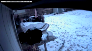 Caméra IP - Estados Unidos