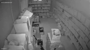 Caméra IP - Denmark