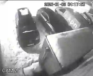 Caméra IP - Paesi Bassi