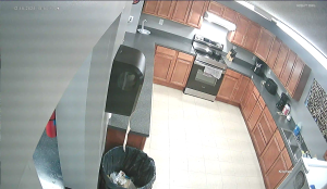 Caméra IP - United States of America