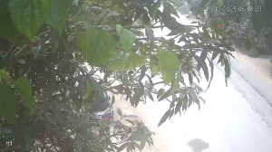 Caméra IP - Vietnam