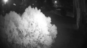 Caméra IP - Türkei