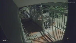 Caméra IP - Colombia