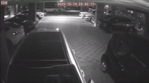 Caméra IP - South Korea