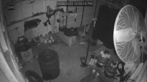 Caméra IP - Vereinigte Staaten von Amerika