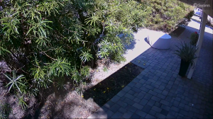 Caméra IP - United States of America