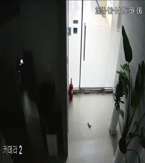 Caméra IP - South Korea