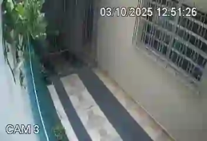 Caméra IP - Brasil