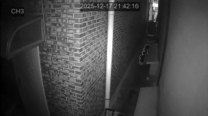 Caméra IP - South Korea