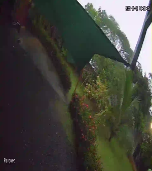 Caméra IP - Costa Rica