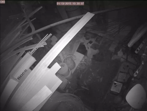 Caméra IP - Corée du Sud