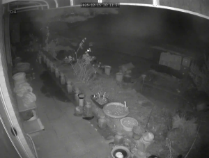 Caméra IP - South Korea