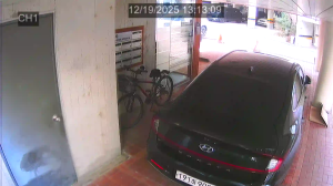 Caméra IP - Corée du Sud