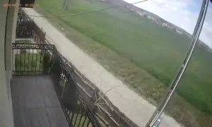 Caméra IP - Romania