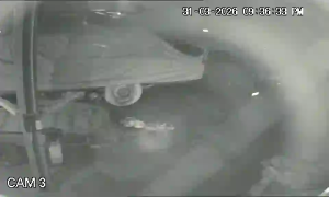 Caméra IP - Australia