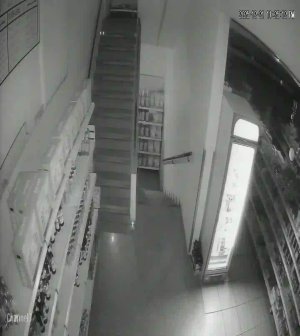 Caméra IP - Libanon