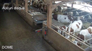 Caméra IP - Frankreich