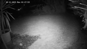 Caméra IP - Switzerland