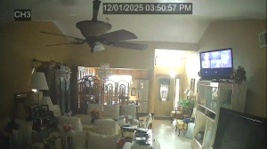 Caméra IP - Belgium